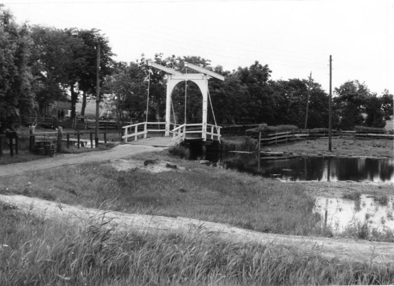 Foto 264992761